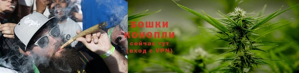 СК Белокуриха